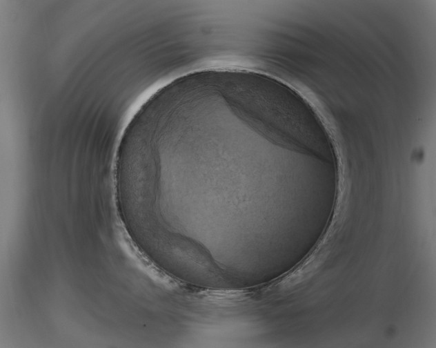X0000116830864200912241225