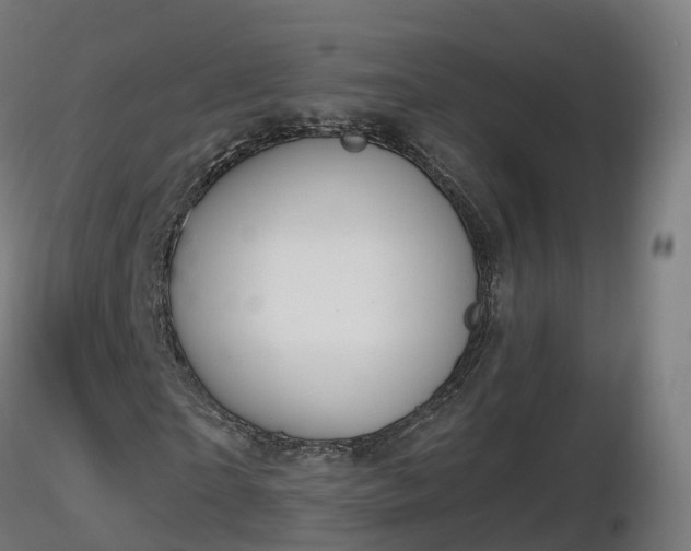 X0000116830865200912241224