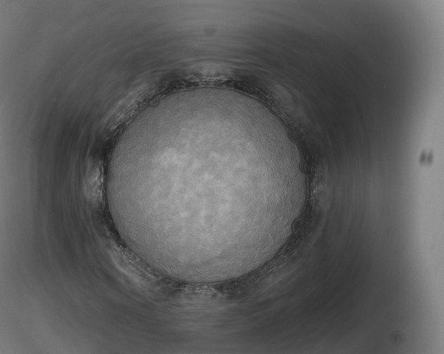 X0000116830866200912241224