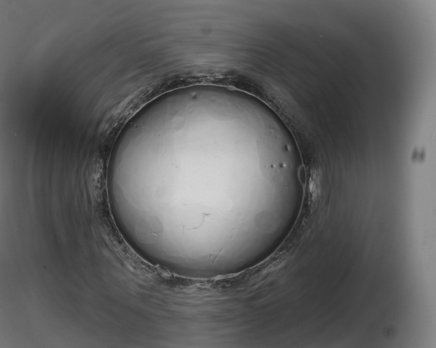 X0000116830867200912241224
