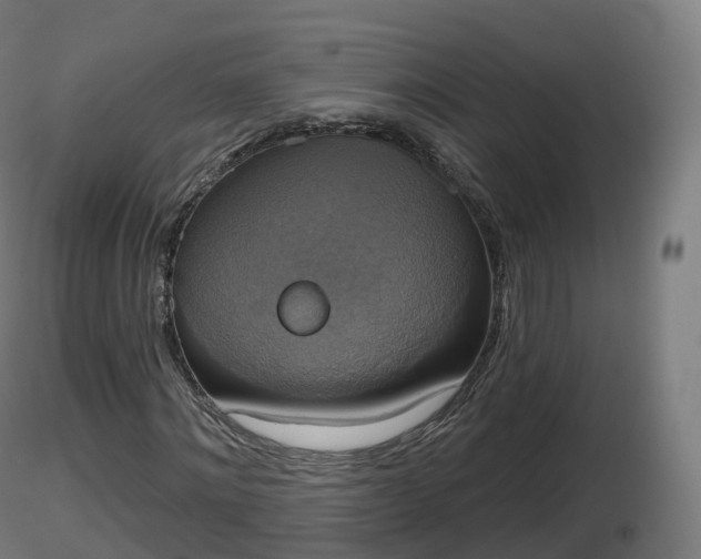 X0000116830868200912241224