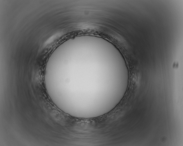 X0000116830869200912241224