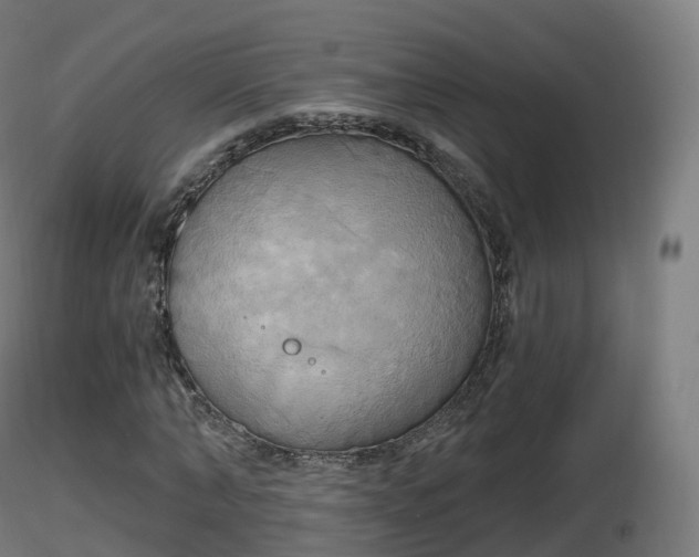 X0000116830870200912241224