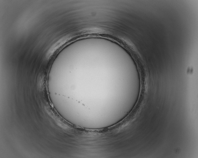 X0000116830873200912241224