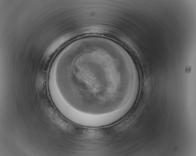 X0000116830874200912241224