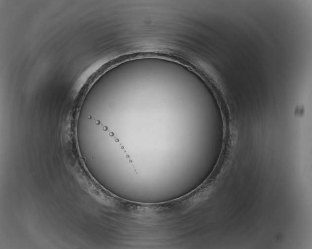 X0000116830875200912241224