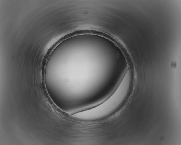X0000116830877200912241224