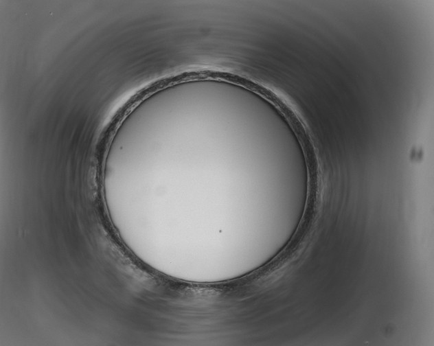 X0000116830878200912241224