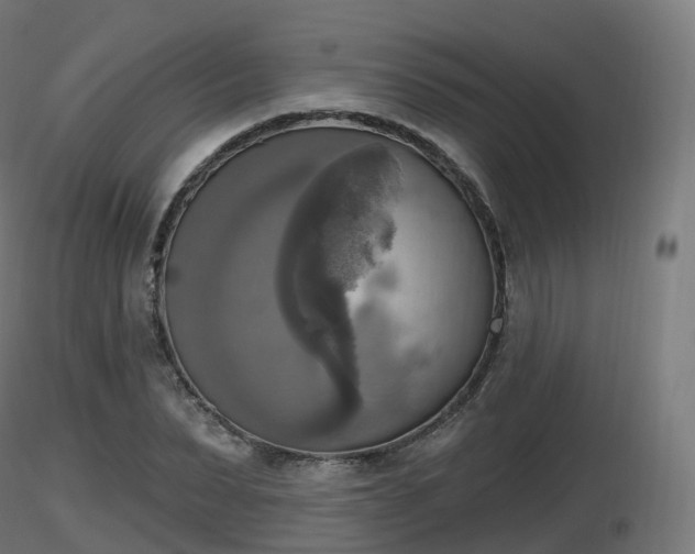 X0000116830879200912241224