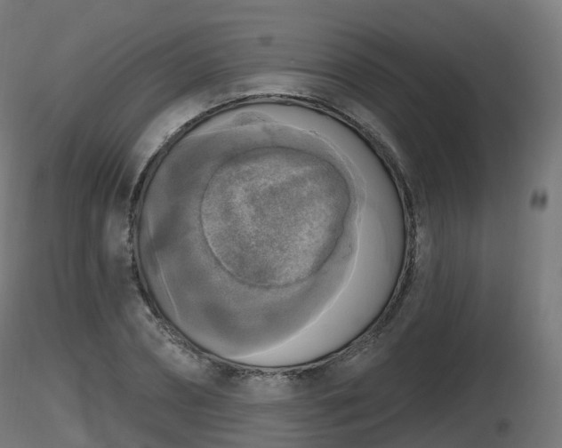 X0000116830882200912241224