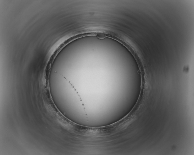 X0000116830883200912241224
