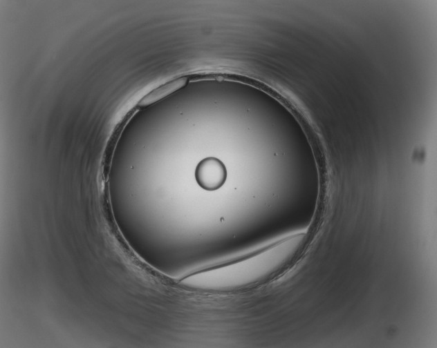 X0000116830885200912241224