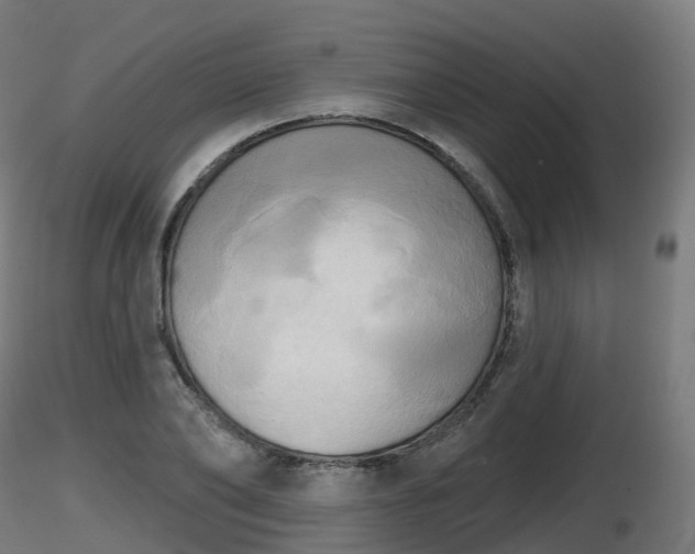 X0000116830886200912241224