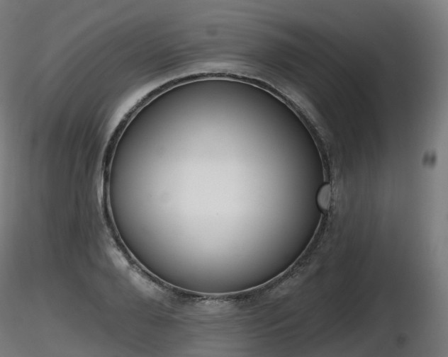 X0000116830888200912241224