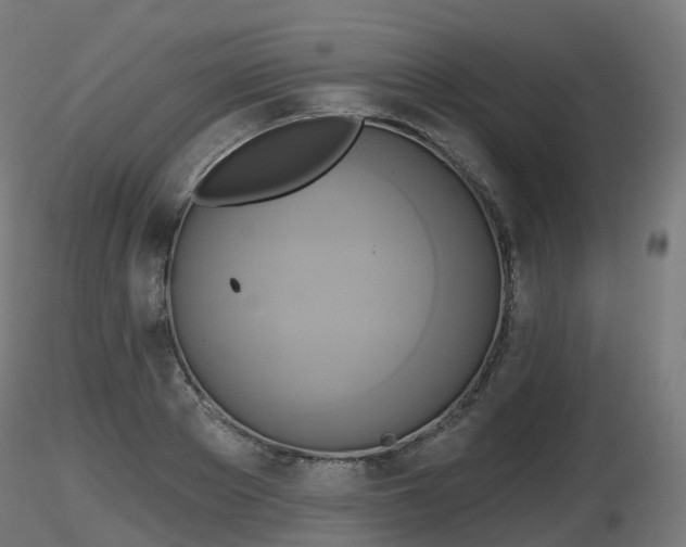 X0000116830889200912241224