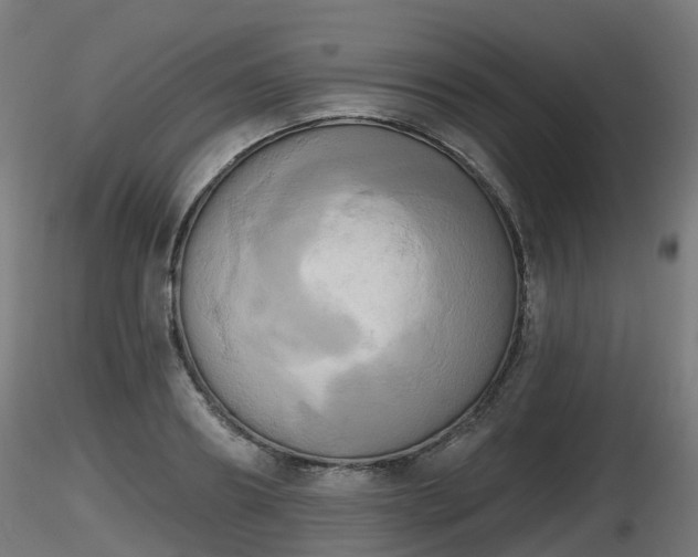 X0000116830890200912241224