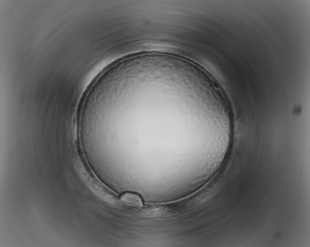 X0000116830891200912241224