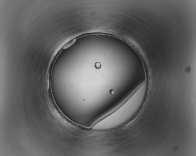 X0000116830892200912241224