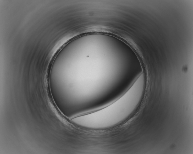X0000116830893200912241224