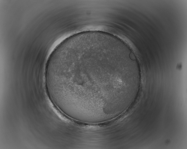 X0000116830894200912241224