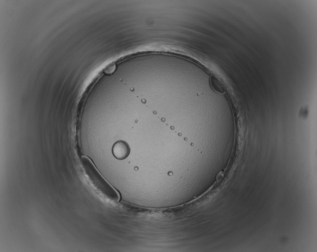 X0000116830896200912241224