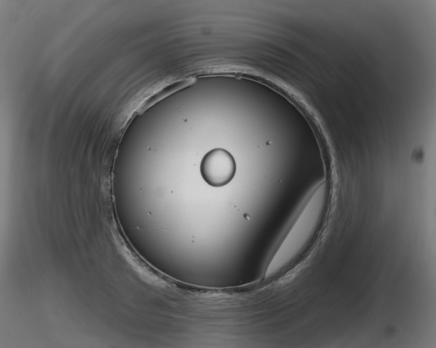 X0000116830897200912241224