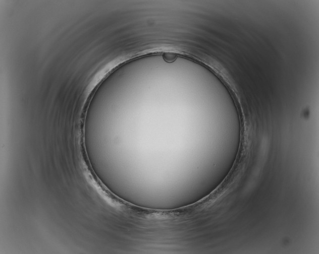 X0000116830898200912241224