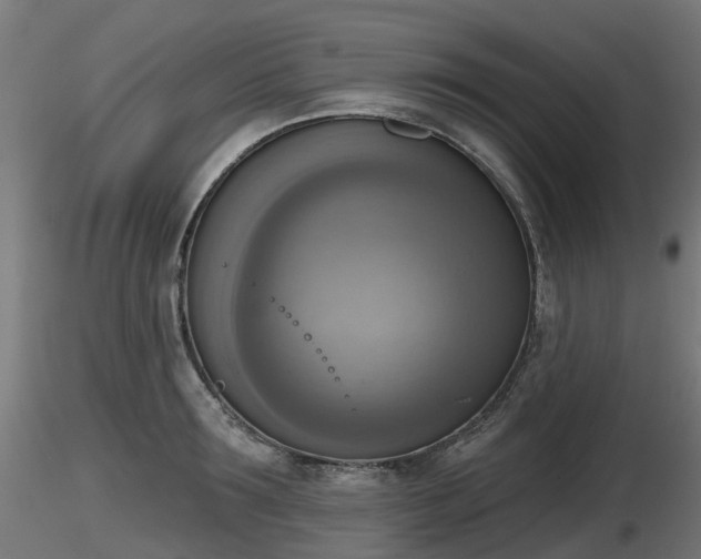 X0000116830899200912241224