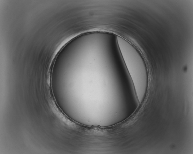 X0000116830900200912241224