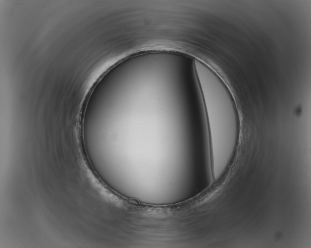 X0000116830901200912241224