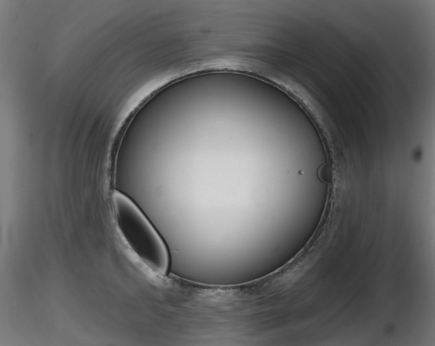 X0000116830902200912241224