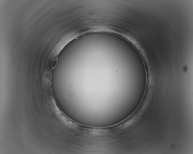 X0000116830905200912241224