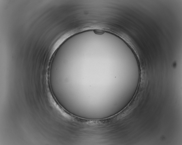 X0000116830906200912241224