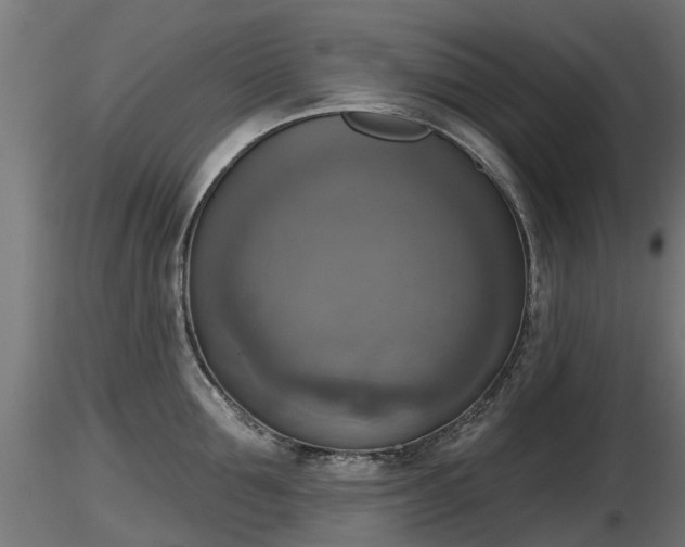 X0000116830907200912241224
