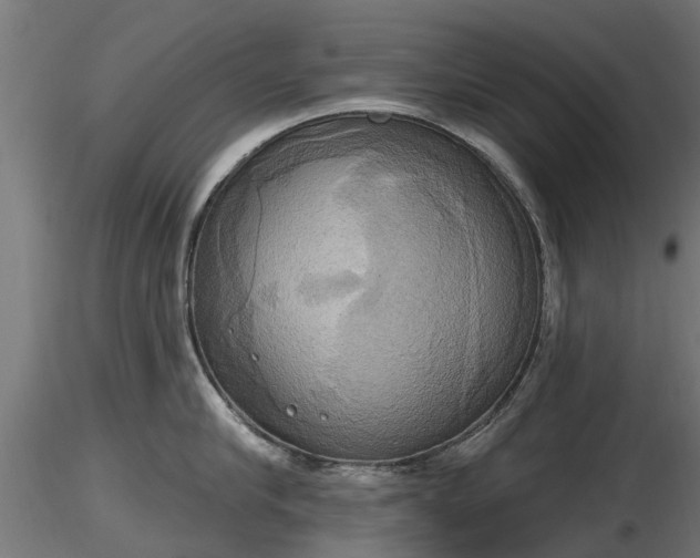 X0000116830910200912241224