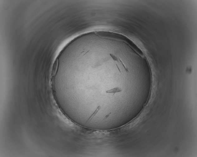 X0000116830912200912241224