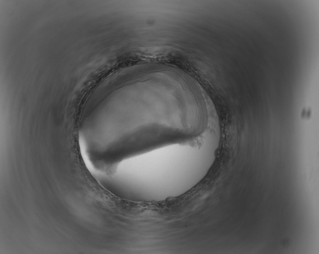 X0000116830913200912241223