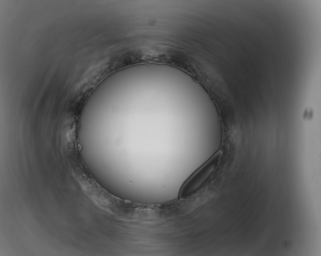 X0000116830914200912241223