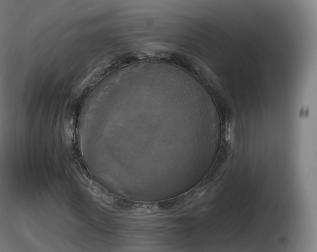 X0000116830915200912241223