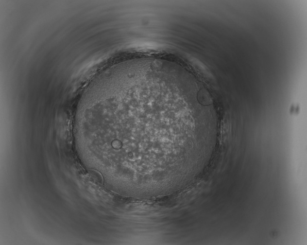 X0000116830917200912241223
