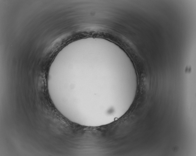 X0000116830918200912241223