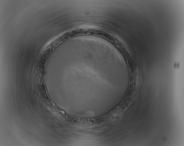 X0000116830919200912241223