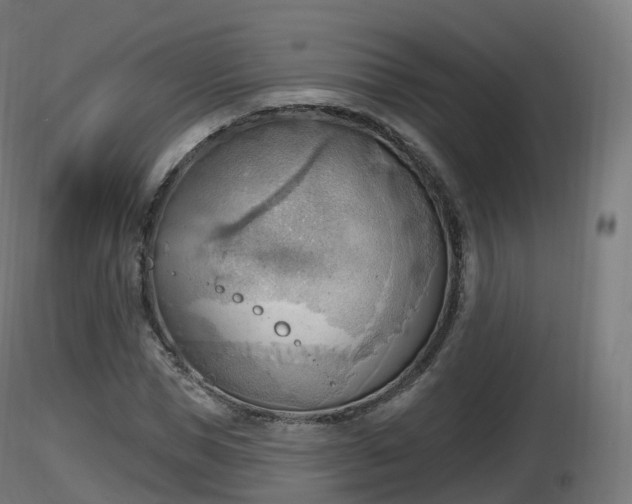 X0000116830921200912241223