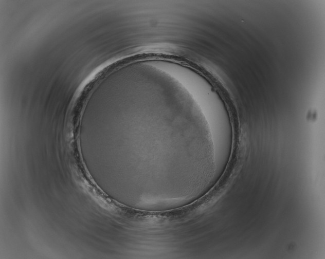 X0000116830923200912241223
