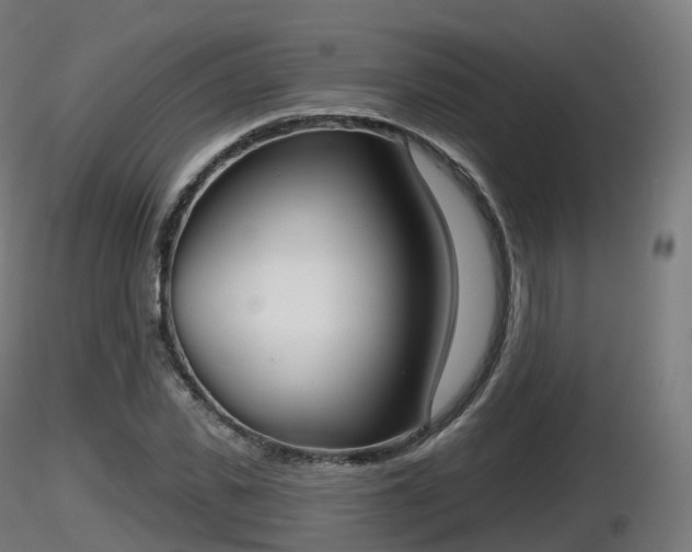 X0000116830925200912241223