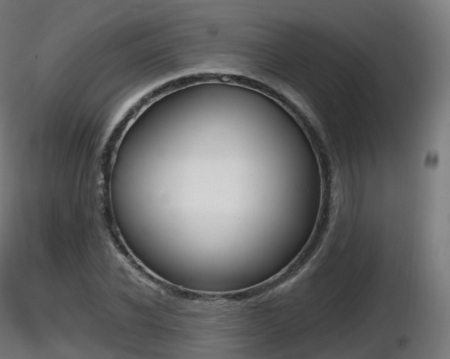 X0000116830926200912241223