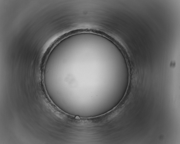 X0000116830927200912241223