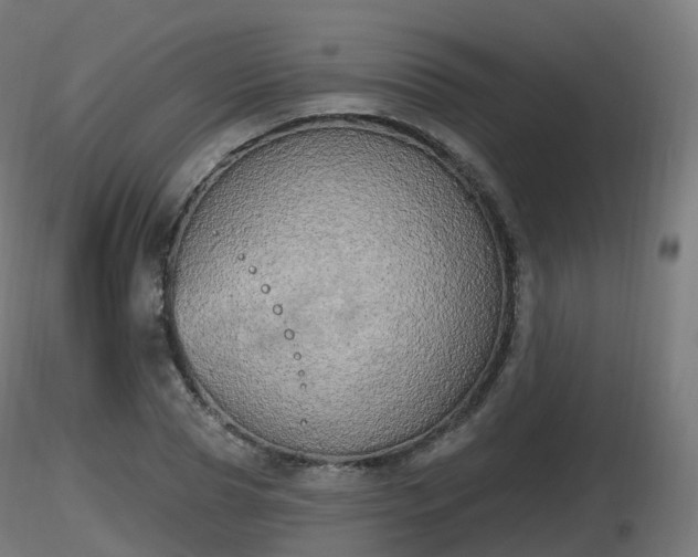 X0000116830929200912241223