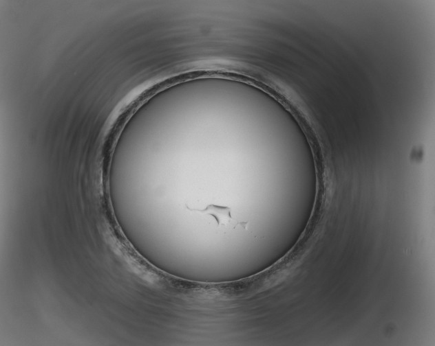 X0000116830931200912241223