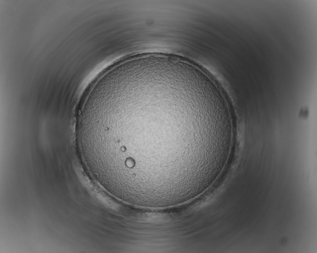 X0000116830933200912241223